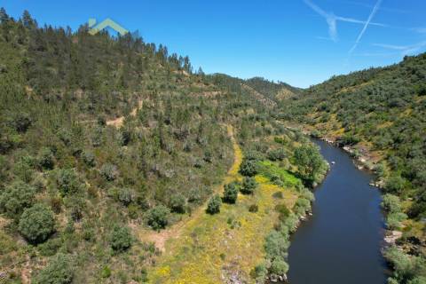 Terreno Rústico  Venda em Sarzedas,Castelo Branco