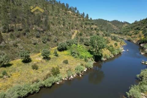 Terreno Rústico  Venda em Sarzedas,Castelo Branco