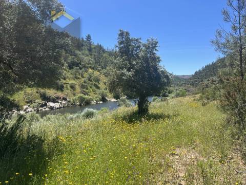 Terreno Rústico  Venda em Sarzedas,Castelo Branco