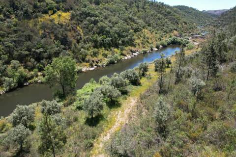 Terreno Rústico  Venda em Sarzedas,Castelo Branco