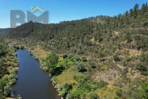 Terreno Rústico  Venda em Sarzedas,Castelo Branco