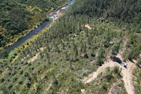 Terreno Rústico  Venda em Sarzedas,Castelo Branco
