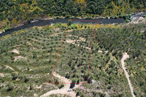 Terreno Rústico  Venda em Sarzedas,Castelo Branco