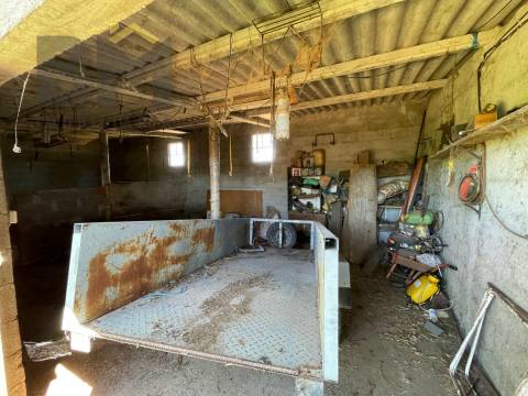 Terreno Rústico  Venda em Freixial e Juncal do Campo,Castelo Branco