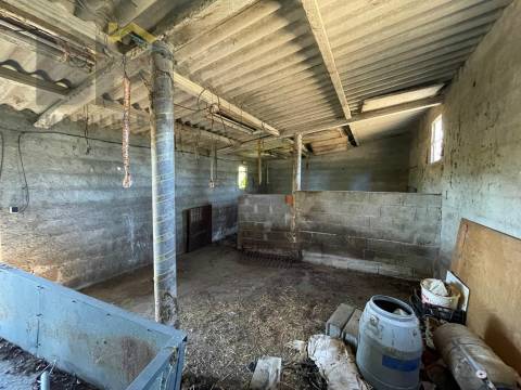 Terreno Rústico  Venda em Freixial e Juncal do Campo,Castelo Branco