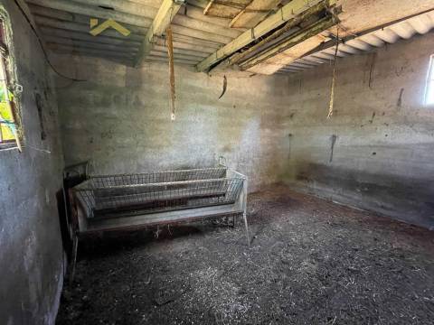 Terreno Rústico  Venda em Freixial e Juncal do Campo,Castelo Branco