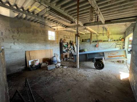 Terreno Rústico  Venda em Freixial e Juncal do Campo,Castelo Branco