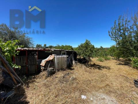 Terreno Rústico  Venda em Freixial e Juncal do Campo,Castelo Branco