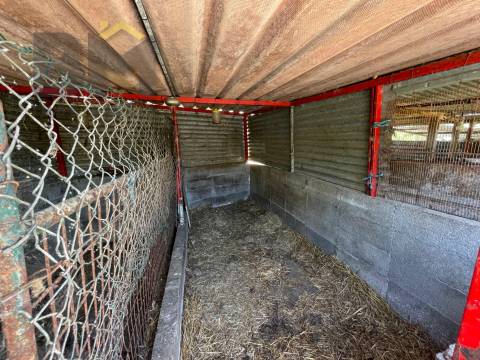 Terreno Rústico  Venda em Freixial e Juncal do Campo,Castelo Branco