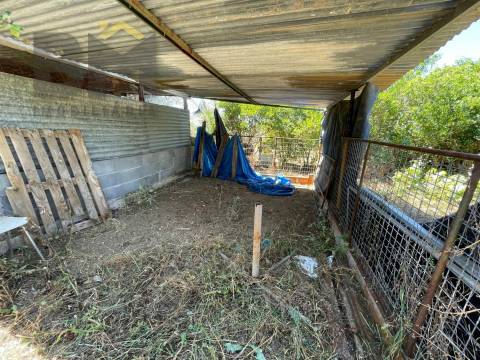 Terreno Rústico  Venda em Freixial e Juncal do Campo,Castelo Branco