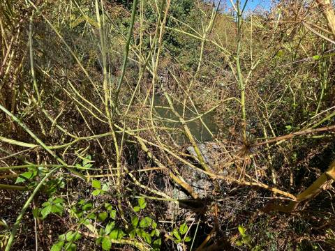 Terreno Rústico  Venda em Freixial e Juncal do Campo,Castelo Branco