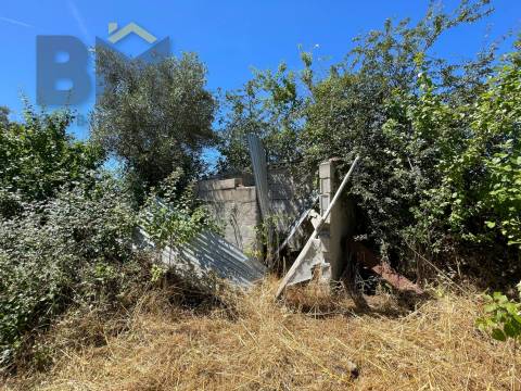 Terreno Rústico  Venda em Freixial e Juncal do Campo,Castelo Branco