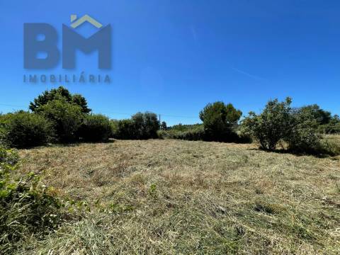 Terreno Rústico  Venda em Freixial e Juncal do Campo,Castelo Branco