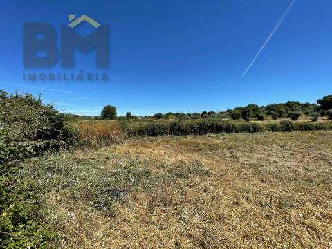 Terreno Rústico  Venda em Freixial e Juncal do Campo,Castelo Branco