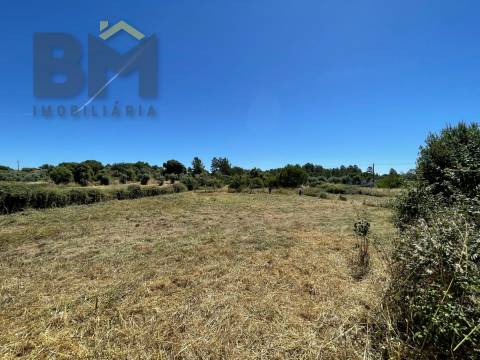 Terreno Rústico  Venda em Freixial e Juncal do Campo,Castelo Branco