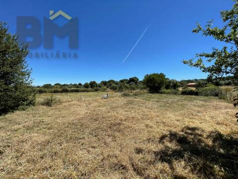 Terreno Rústico  Venda em Freixial e Juncal do Campo,Castelo Branco