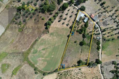 Terreno Rústico  Venda em Freixial e Juncal do Campo,Castelo Branco