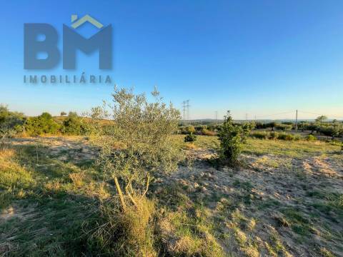 Terreno Rústico  Venda em Castelo Branco,Castelo Branco