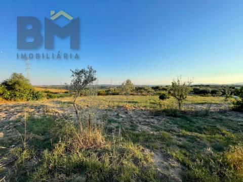 Terreno Rústico  Venda em Castelo Branco,Castelo Branco