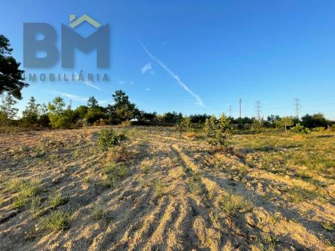 Terreno Rústico  Venda em Castelo Branco,Castelo Branco
