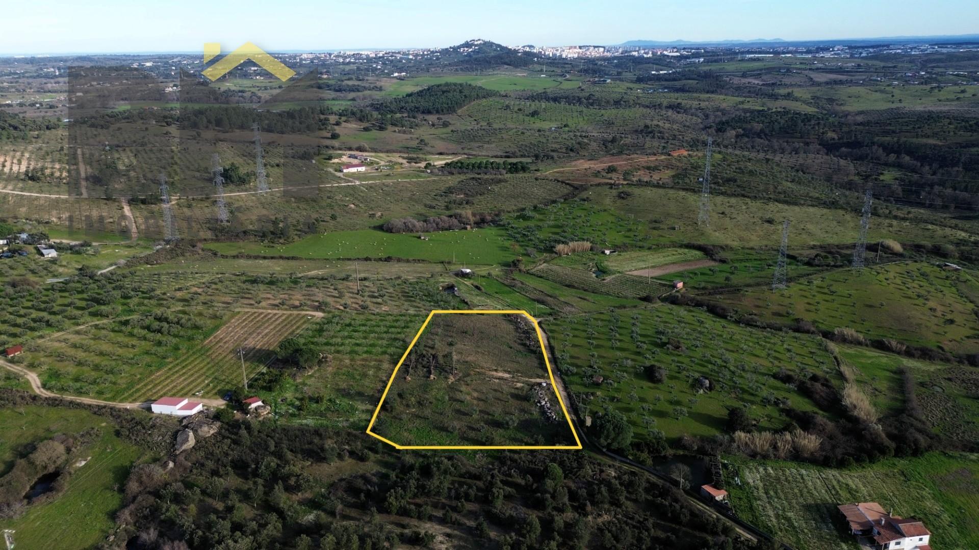 Terreno Rústico  Venda em Castelo Branco,Castelo Branco