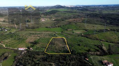 Terreno Rústico  Venda em Castelo Branco,Castelo Branco
