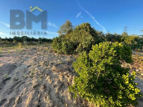 Terreno Rústico  Venda em Castelo Branco,Castelo Branco