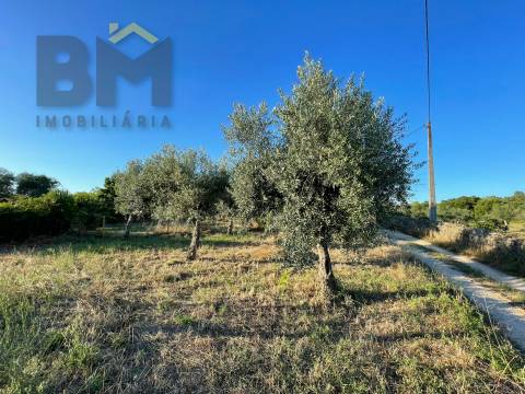Terreno Rústico  Venda em Freixial e Juncal do Campo,Castelo Branco