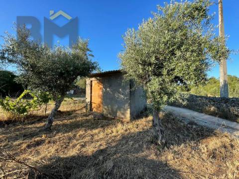 Terreno Rústico  Venda em Freixial e Juncal do Campo,Castelo Branco