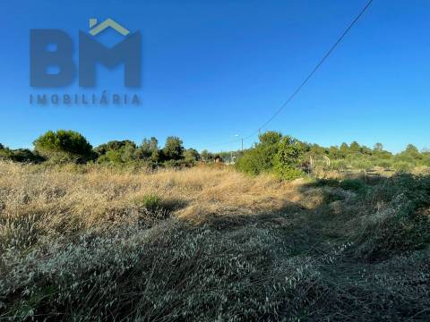 Terreno Rústico  Venda em Freixial e Juncal do Campo,Castelo Branco