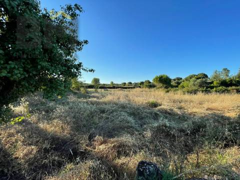 Terreno Rústico  Venda em Freixial e Juncal do Campo,Castelo Branco