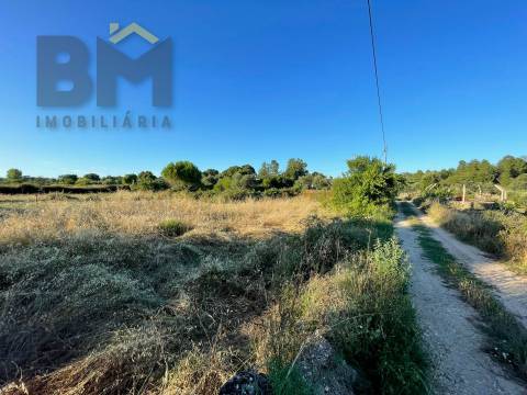 Terreno Rústico  Venda em Freixial e Juncal do Campo,Castelo Branco
