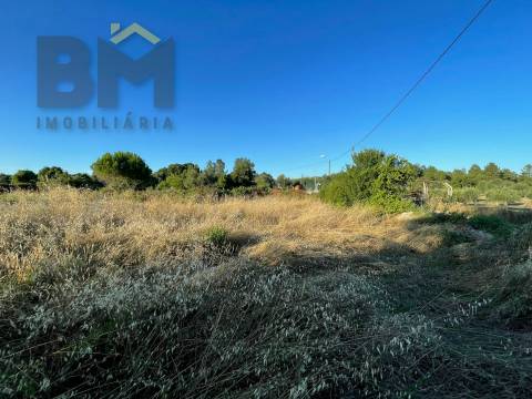 Terreno Rústico  Venda em Freixial e Juncal do Campo,Castelo Branco