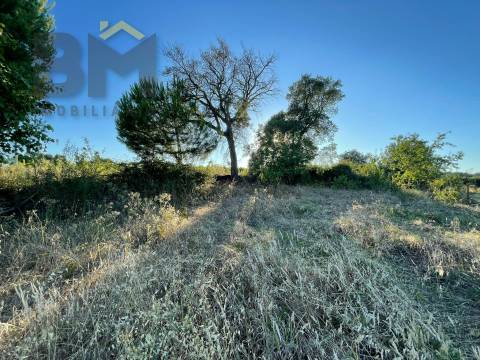 Terreno Rústico  Venda em Freixial e Juncal do Campo,Castelo Branco