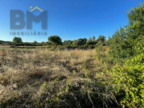 Terreno Rústico  Venda em Freixial e Juncal do Campo,Castelo Branco