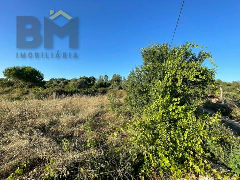 Terreno Rústico  Venda em Freixial e Juncal do Campo,Castelo Branco