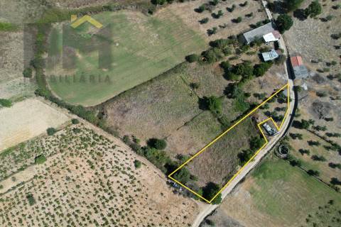 Terreno Rústico  Venda em Freixial e Juncal do Campo,Castelo Branco