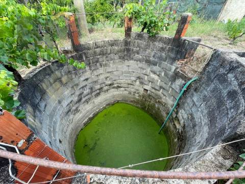 Terreno Rústico  Venda em Freixial e Juncal do Campo,Castelo Branco