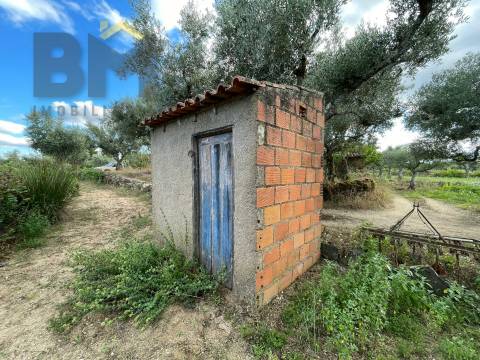 Terreno Rústico  Venda em Freixial e Juncal do Campo,Castelo Branco