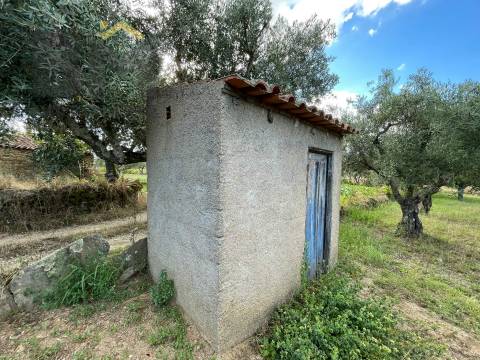Terreno Rústico  Venda em Freixial e Juncal do Campo,Castelo Branco