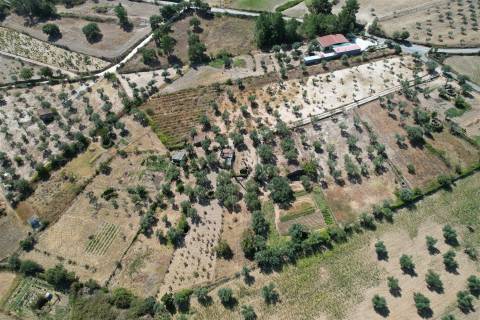 Terreno Rústico  Venda em Freixial e Juncal do Campo,Castelo Branco