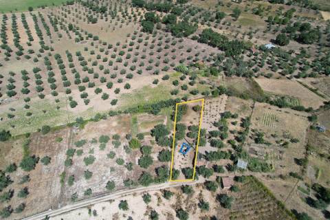 Terreno Rústico  Venda em Freixial e Juncal do Campo,Castelo Branco