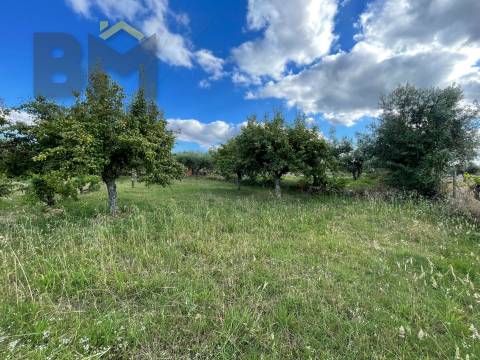 Terreno Rústico  Venda em Freixial e Juncal do Campo,Castelo Branco
