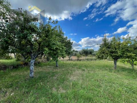 Terreno Rústico  Venda em Freixial e Juncal do Campo,Castelo Branco