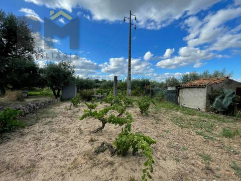 Terreno Rústico  Venda em Freixial e Juncal do Campo,Castelo Branco