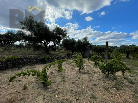 Terreno Rústico  Venda em Freixial e Juncal do Campo,Castelo Branco