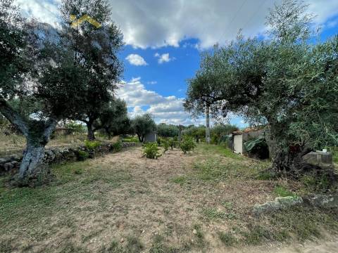 Terreno Rústico  Venda em Freixial e Juncal do Campo,Castelo Branco