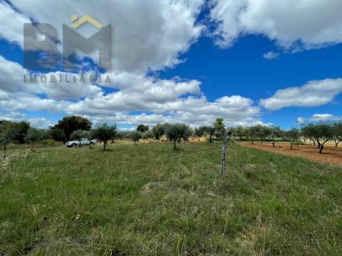 Terreno Rústico  Venda em Ninho do Açor e Sobral do Campo,Castelo Branco