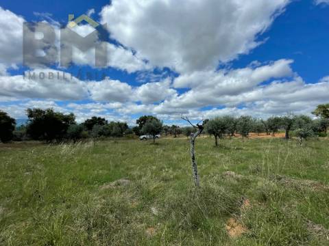 Terreno Rústico  Venda em Ninho do Açor e Sobral do Campo,Castelo Branco