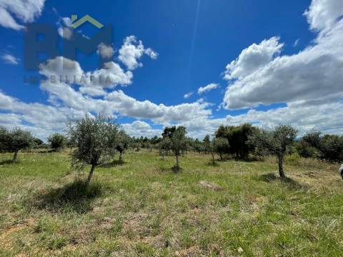 Terreno Rústico  Venda em Ninho do Açor e Sobral do Campo,Castelo Branco